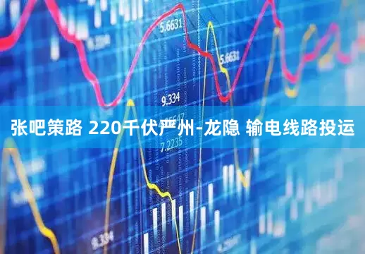 张吧策路 220千伏严州-龙隐 输电线路投运