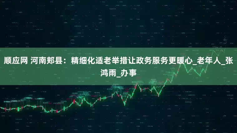 顺应网 河南郏县：精细化适老举措让政务服务更暖心_老年人_张鸿雨_办事