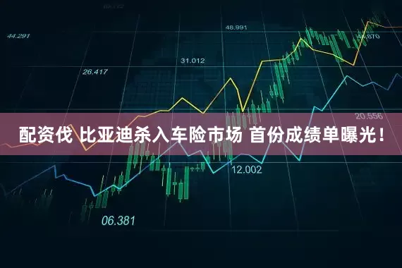 配资伐 比亚迪杀入车险市场 首份成绩单曝光！